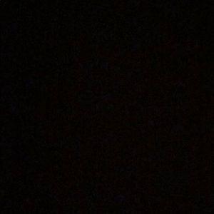 Meet your Posher, Claudine